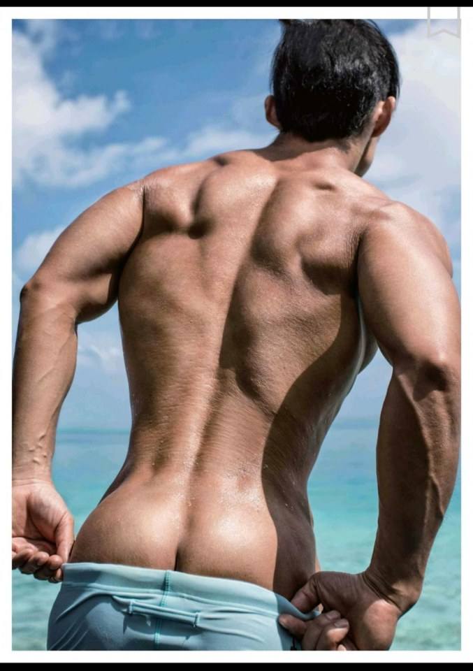 male body 231