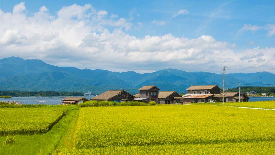 หากคุณกำลังค้นหาสถานที่จัดงานธุรกิจที่ให้ความสะดวกสบายในเมืองเคียงข้างกับธรรมชาติอันหลากหลายนีงะตะควรอยู่ในอันดับต้น ๆ ของรายการของคุณ เมืองท่าเรืออันมีชีวิตชีวาแห่งนี้อยู่ห่างจากโตเกียวเพียงสองชั่วโม