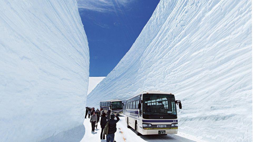 เป็นเวลากว่า 300 ปีที่ Toyama เป็นศูนย์กลางอุตสาหกรรมยาของญี่ปุ่นและเป็นที่ตั้งของ บริษัท และโรงงานผลิต 60 แห่ง ตอนนี้สามารถเข้าถึงได้ในเวลาเพียงสองชั่วโมงจากโตเกียวบนรถไฟหัวกระสุน Hokuriku ใหม่ล่าสุด
