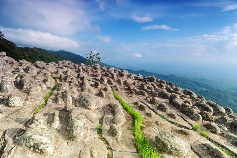4. ลานหินปุ่ม ภูหินร่องกล้า