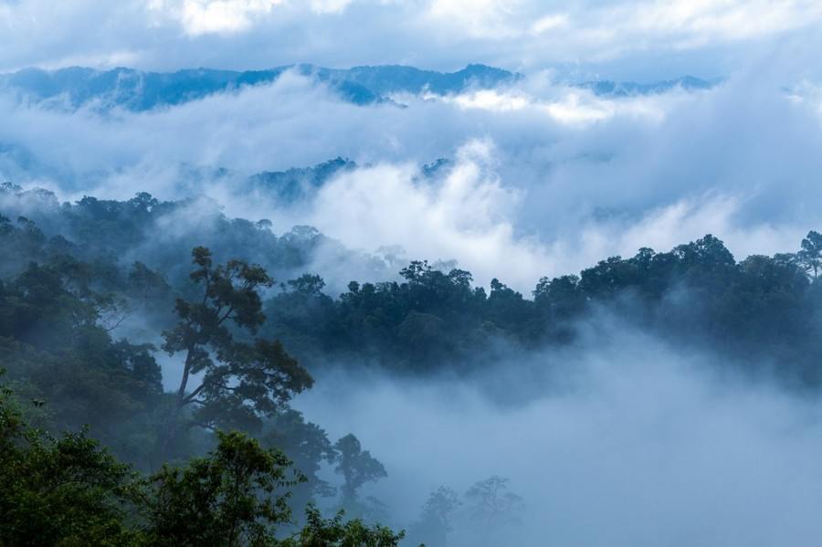 7. เขาพะเนินทุ่ง “เขาพะเนินทุ่ง” อุทยานแห่งชาติแก่งกระจาน จ.เพชรบุรี ยอดเขาสูงจากระดับน้ำทะเลประมาณ 1,207 เมตร ในช่วงเช้าจะมองเห็นกลุ่มควันแห่งความหนาวสีขาวนวลปกคลุมทั่วหุบเขา เมื่อเริ่มจางลงบริเวณเบื
