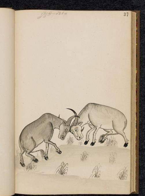 19th-century Ramayana manuscript (Ramakien) Thailand 🇹🇭