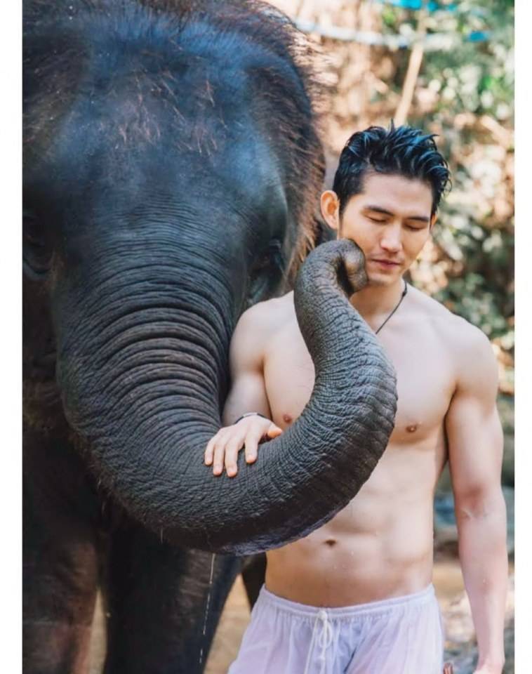 ชายน่าโช๊ก