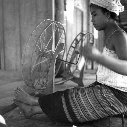 THAILAND 🇹🇭 | Tai Lue ethnic at Phayao Province.