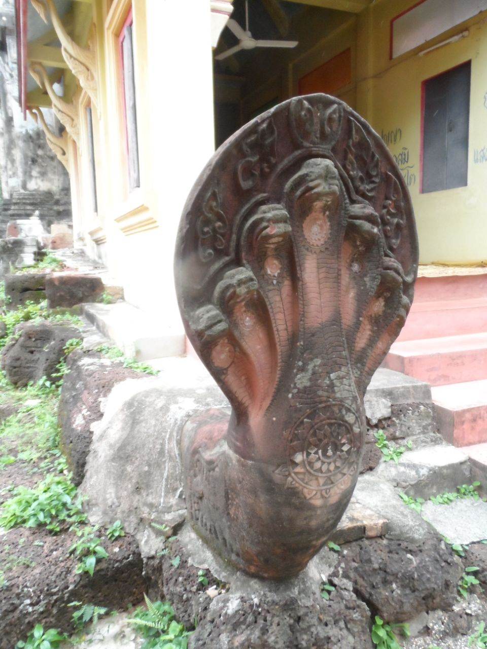THAILAND ðđð | āļāļđāđāļāļĢāļ°āđāļāļāļē(āļāļđāđāļŠāļĩāđāđāļāđāļāļŦāļĢāļ·āļāļāļđāđāļāļģāļāļđāļāļē) āļ.āļŠāļļāļ§āļĢāļĢāļāļ āļđāļĄāļī āļ.āļĢāđāļāļĒāđāļāđāļ