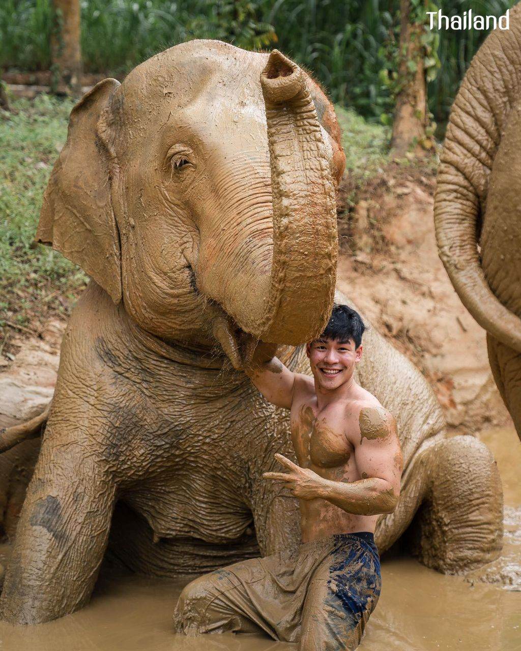 THAILAND 🇹🇭 | All Elephant Home Phuket - ออลล์ เอลเลเฟ่นท์ โฮม ภูเก็ต