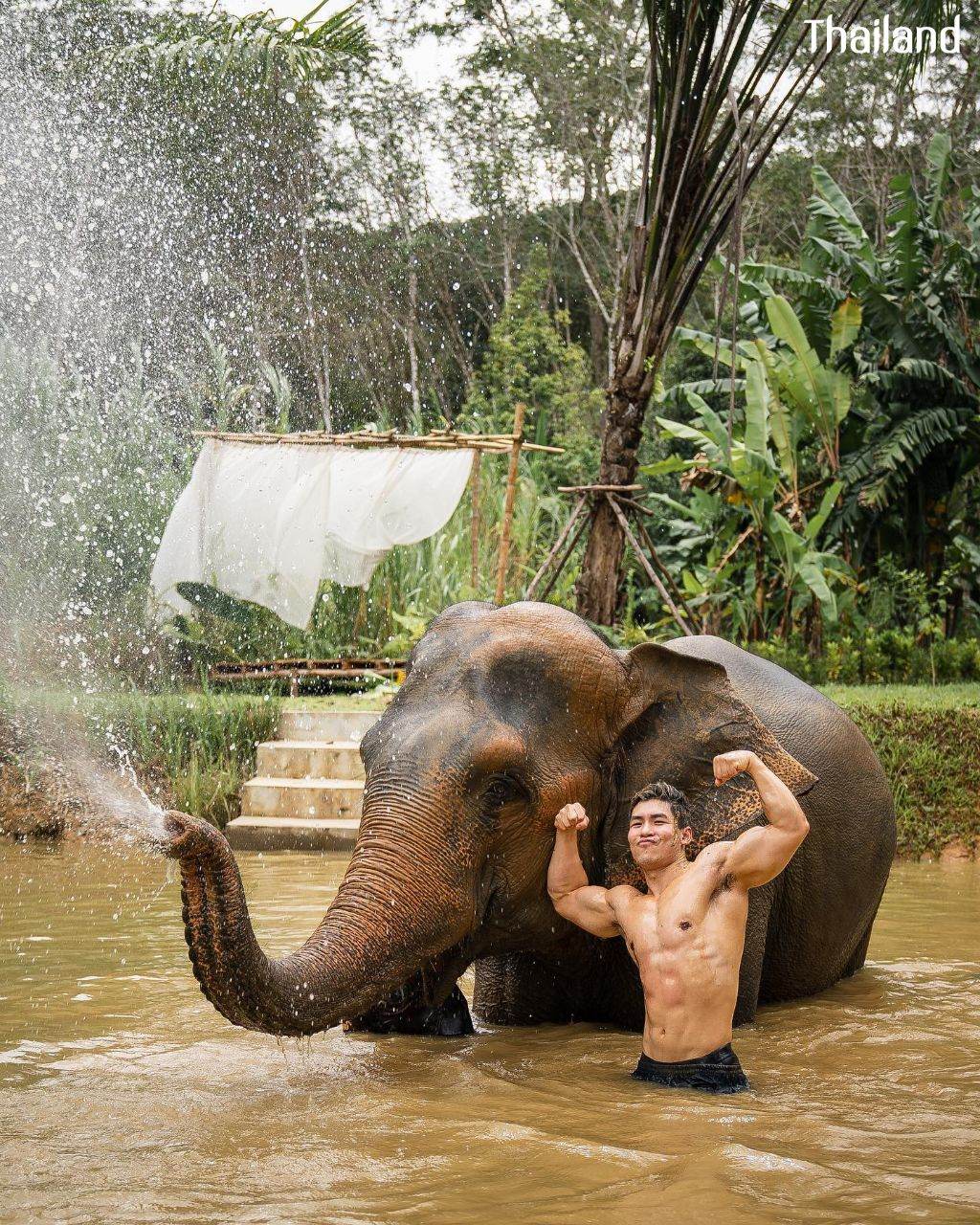 THAILAND 🇹🇭 | All Elephant Home Phuket - ออลล์ เอลเลเฟ่นท์ โฮม ภูเก็ต