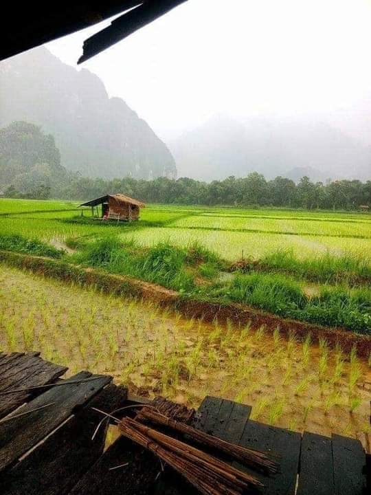 ความรักคนสองคน