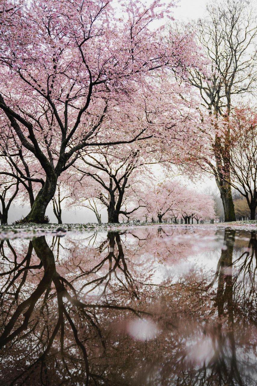 รูปสวยๆ