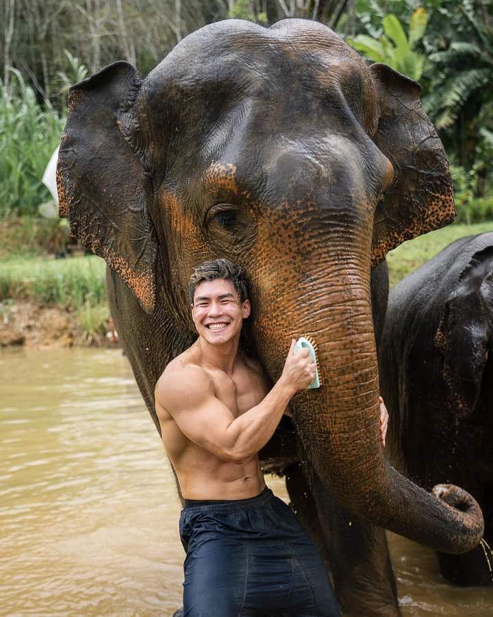 ขนมาล็อตใหญ่8