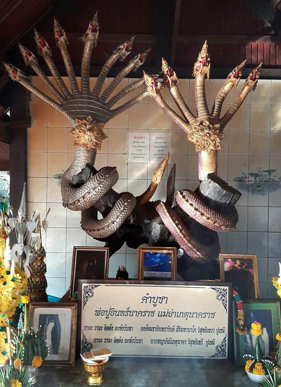 ภาพมงคล 2020 ชุดที่ 9