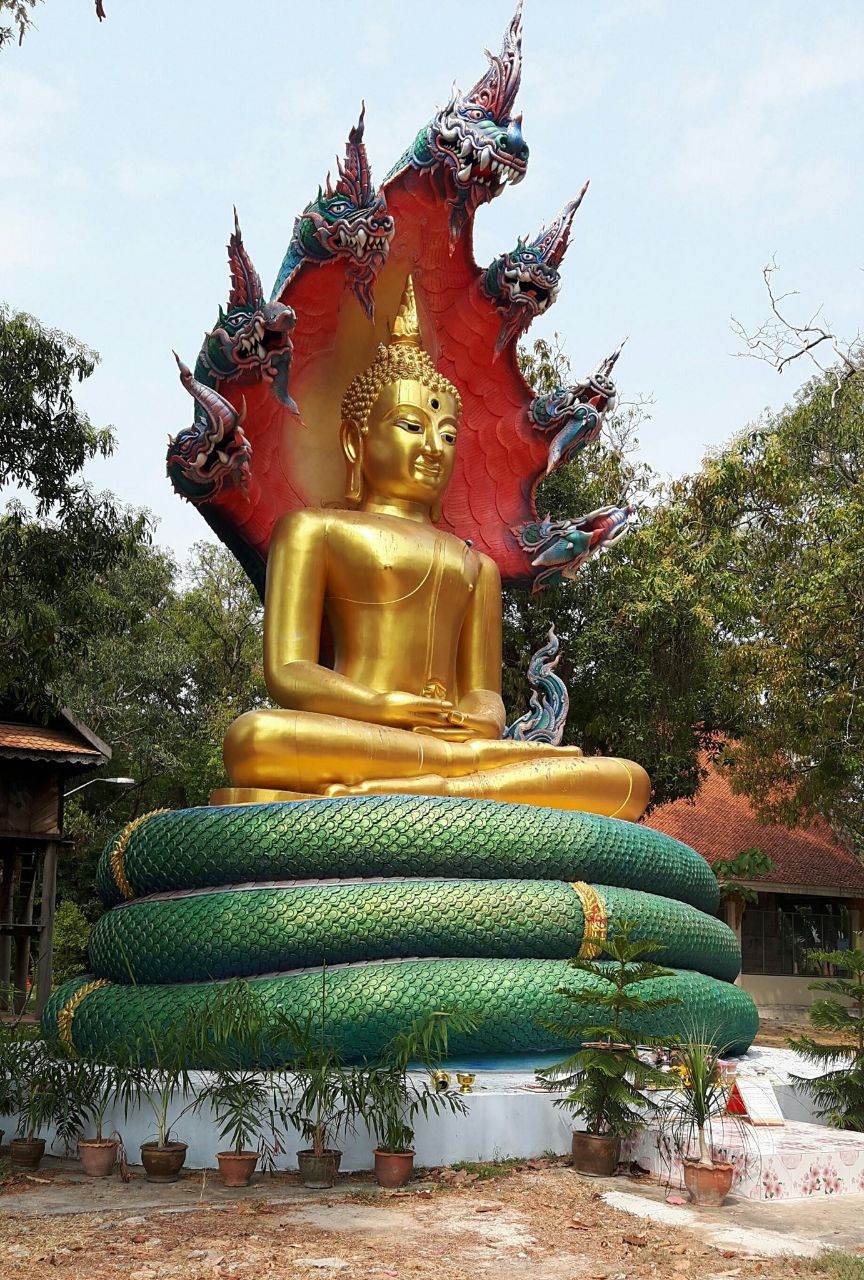 ภาพมงคล 2020 ชุดที่ 9