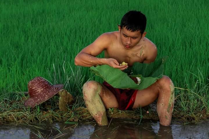 ดีต่อใจ#1594ทำนากับหนุ่มพม่า