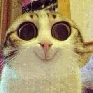 น้อนนนน