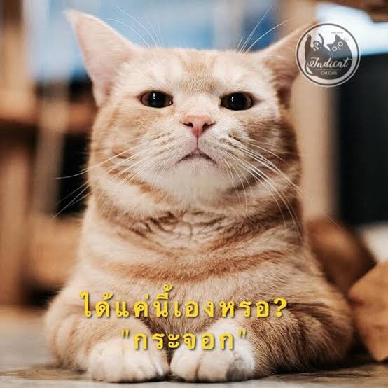 น้องงง
