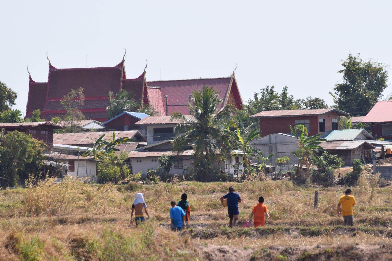 วิถีชนบท