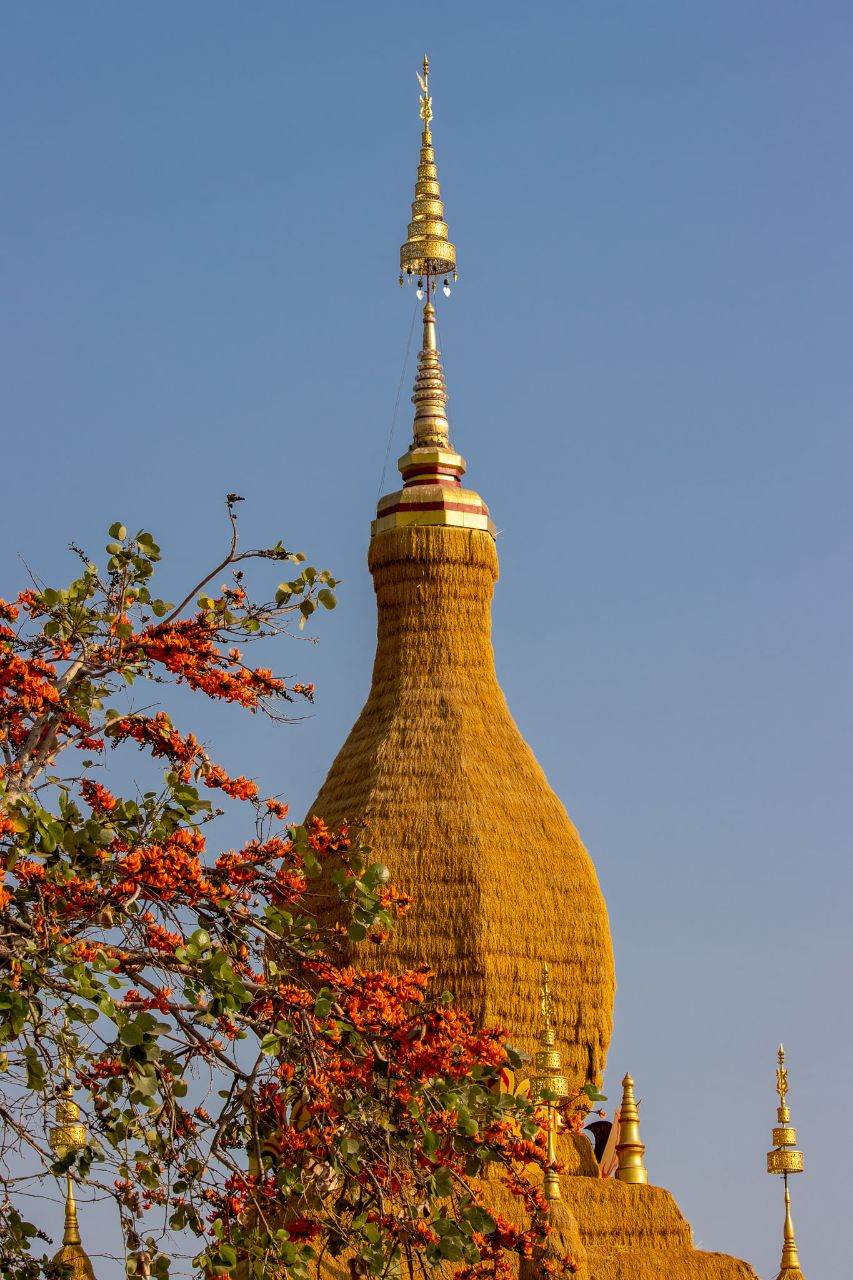 THAILAND ðđð | āļāļĢāļ°āļāļēāļāļļāļāđāļēāļ§āđāļāļĨāļ·āļāļ āļ§āļąāļāļāļļāđāļāļŠāļāļļāđāļāļĢāļąāļāļāļēāļĢāļēāļĄ āļ.āļĢāļ°āļŦāļēāļ āļ.āļāļķāļāļŠāļēāļĄāļąāļāļāļĩ āļ.āļāļģāđāļāļāļĢ
