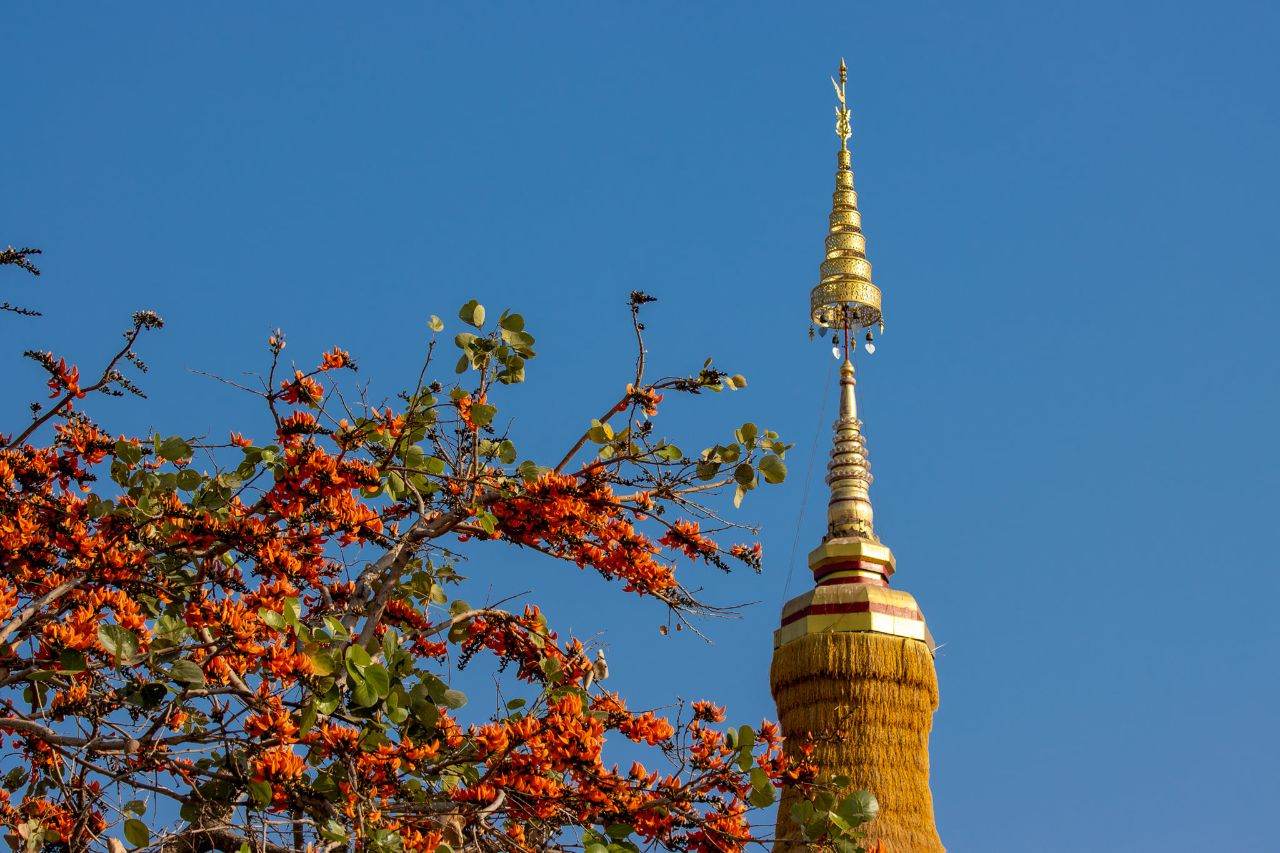 THAILAND ðđð | āļāļĢāļ°āļāļēāļāļļāļāđāļēāļ§āđāļāļĨāļ·āļāļ āļ§āļąāļāļāļļāđāļāļŠāļāļļāđāļāļĢāļąāļāļāļēāļĢāļēāļĄ āļ.āļĢāļ°āļŦāļēāļ āļ.āļāļķāļāļŠāļēāļĄāļąāļāļāļĩ āļ.āļāļģāđāļāļāļĢ