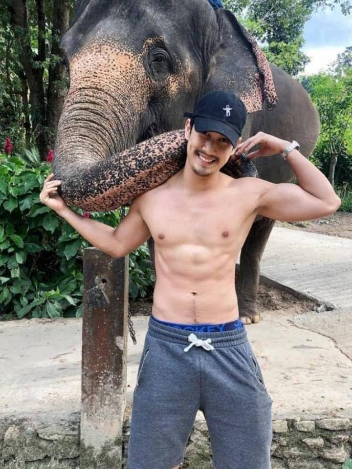 ช้าง ช้าง ช้าง