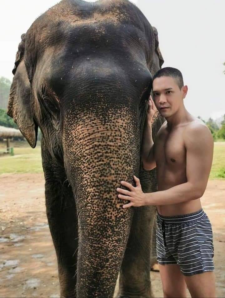 ช้าง ช้าง ช้าง