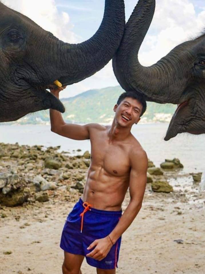 ช้าง ช้าง ช้าง