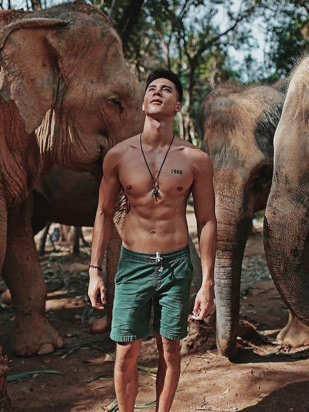ช้าง ช้าง ช้าง