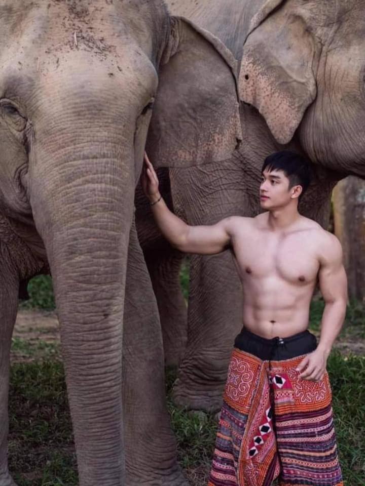 ช้าง ช้าง ช้าง