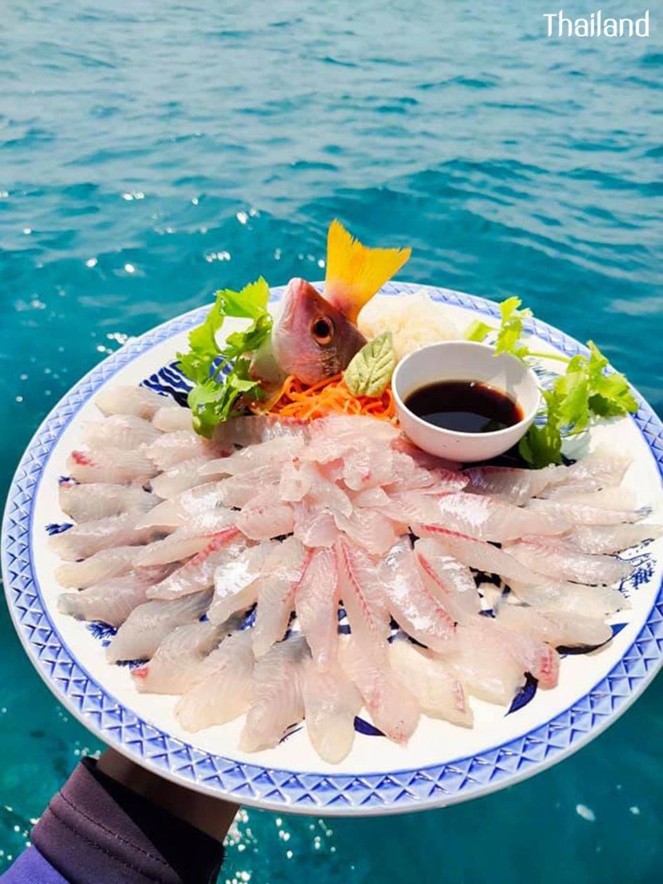 THAILAND | Travel to the sea, eat fresh Sashimi