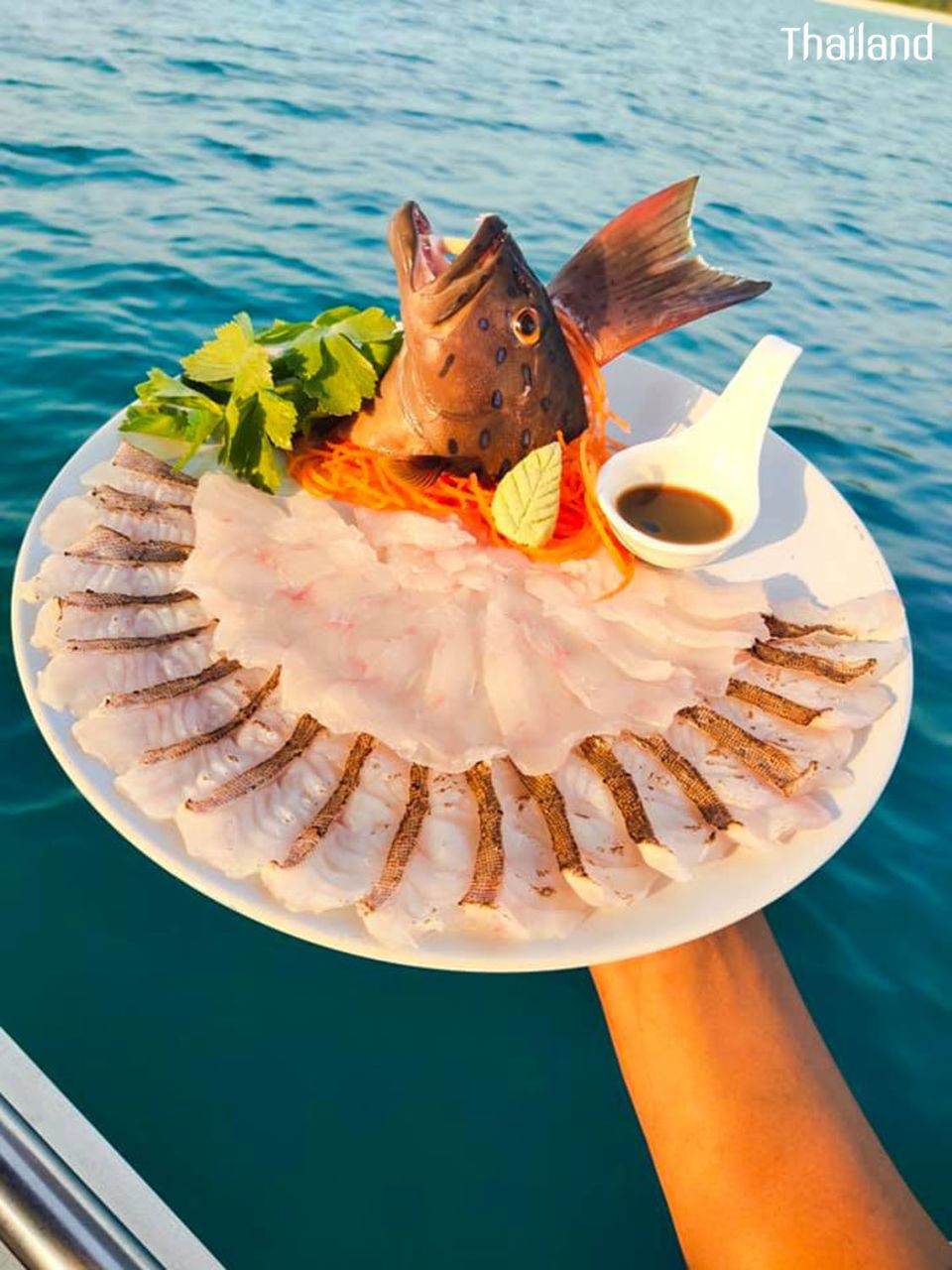 THAILAND | Travel to the sea, eat fresh Sashimi