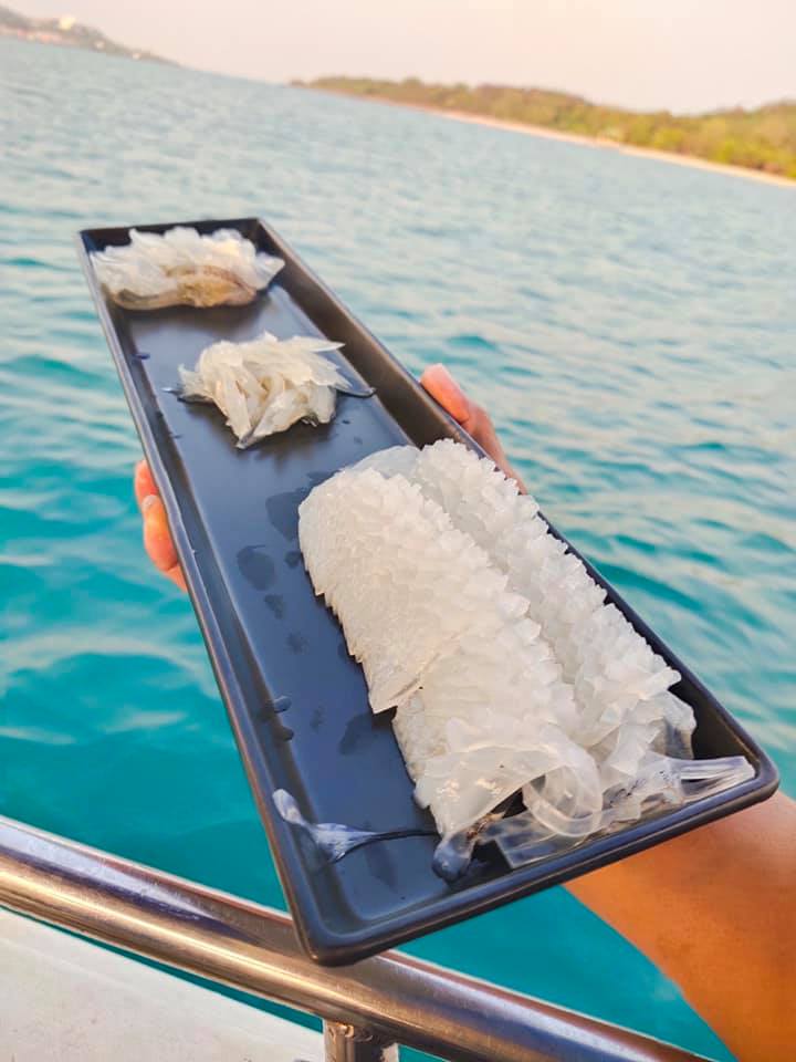 THAILAND | Travel to the sea, eat fresh Sashimi