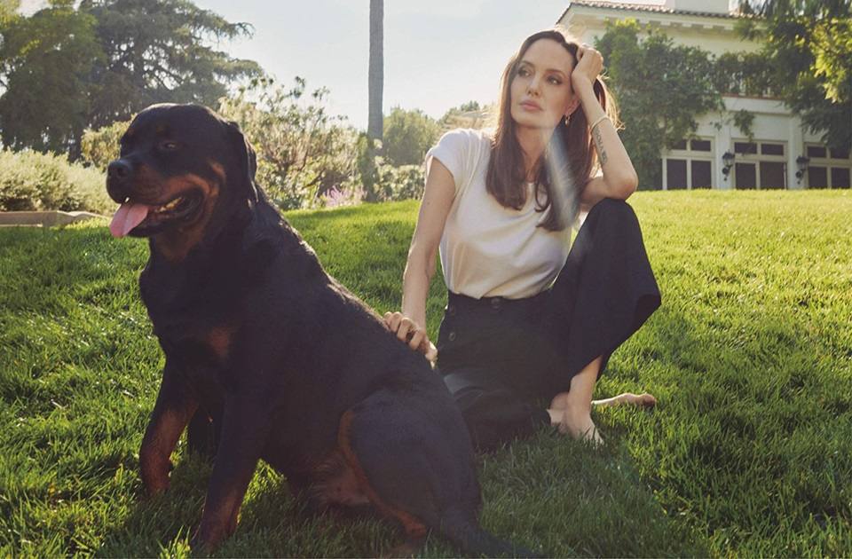 Angelina Jolie @ Vogue UK March 2021