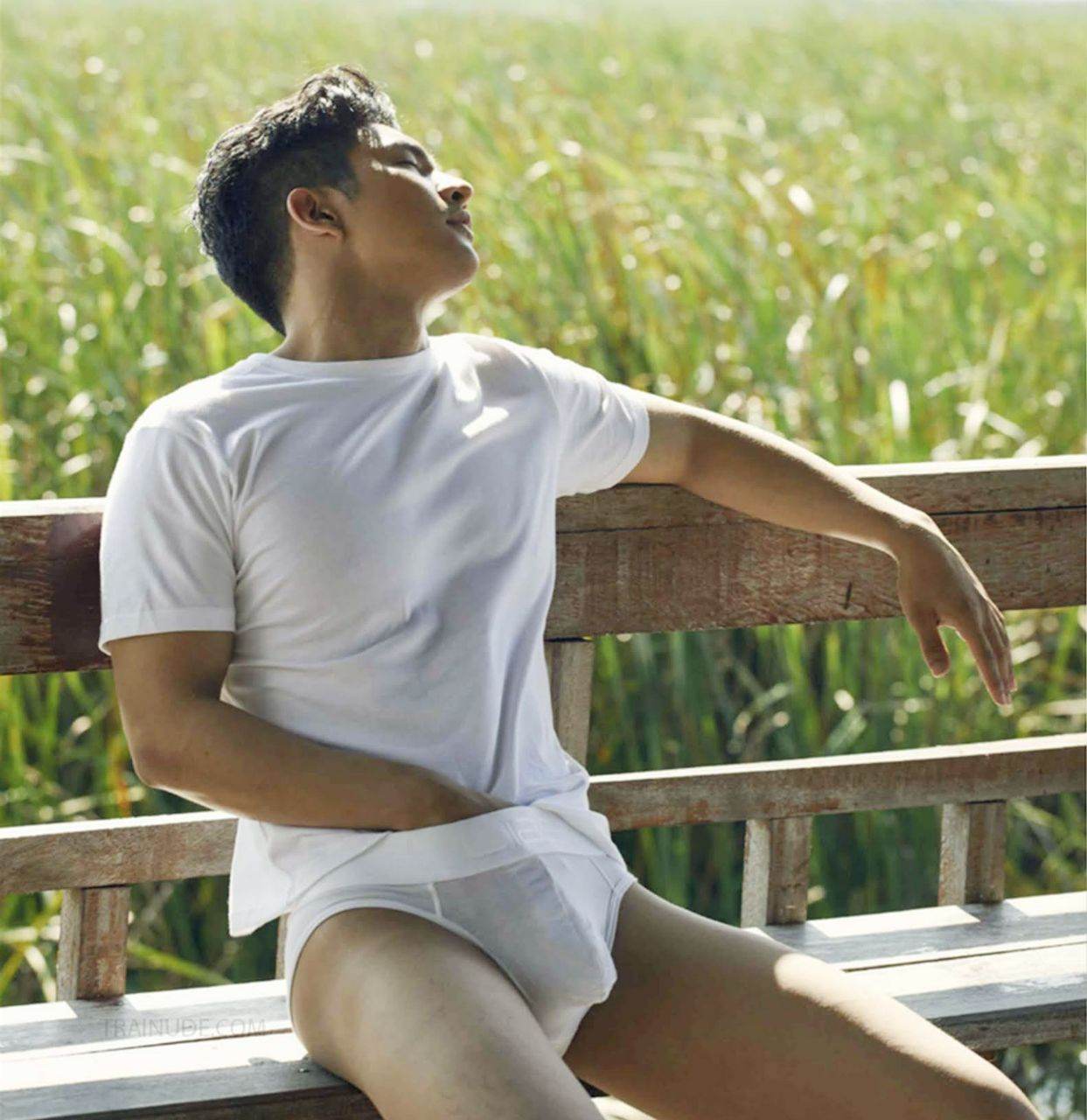ซี๊ดส์ฟรีส