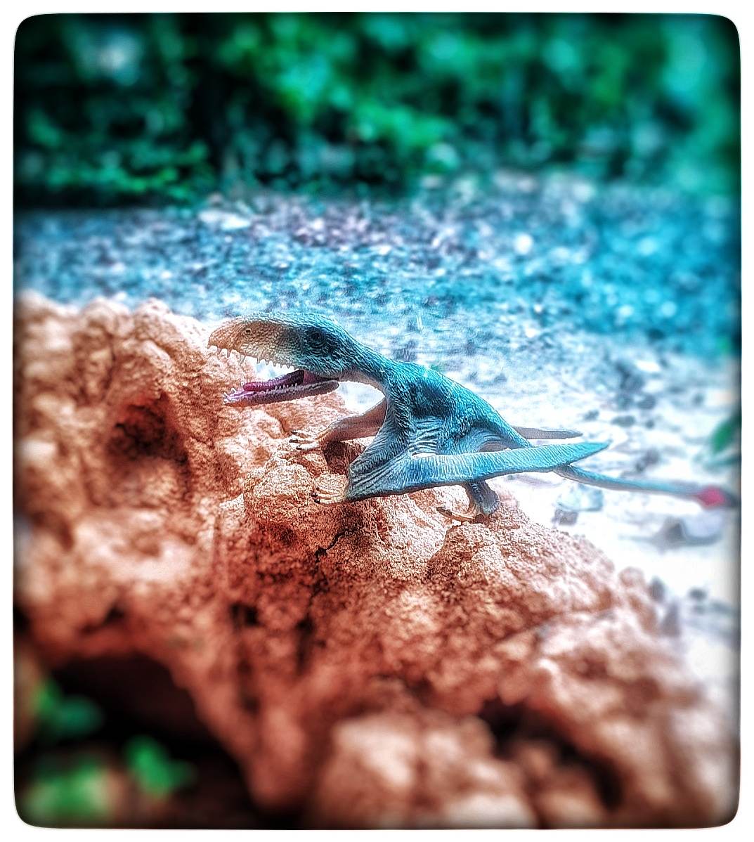 โมเดล ไดโมโพดอล modal Dimorphodon