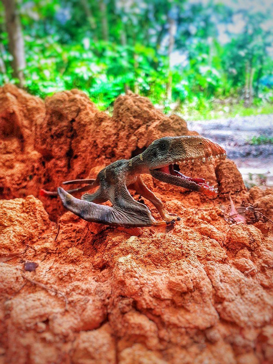 โมเดล ไดโมโพดอล modal Dimorphodon
