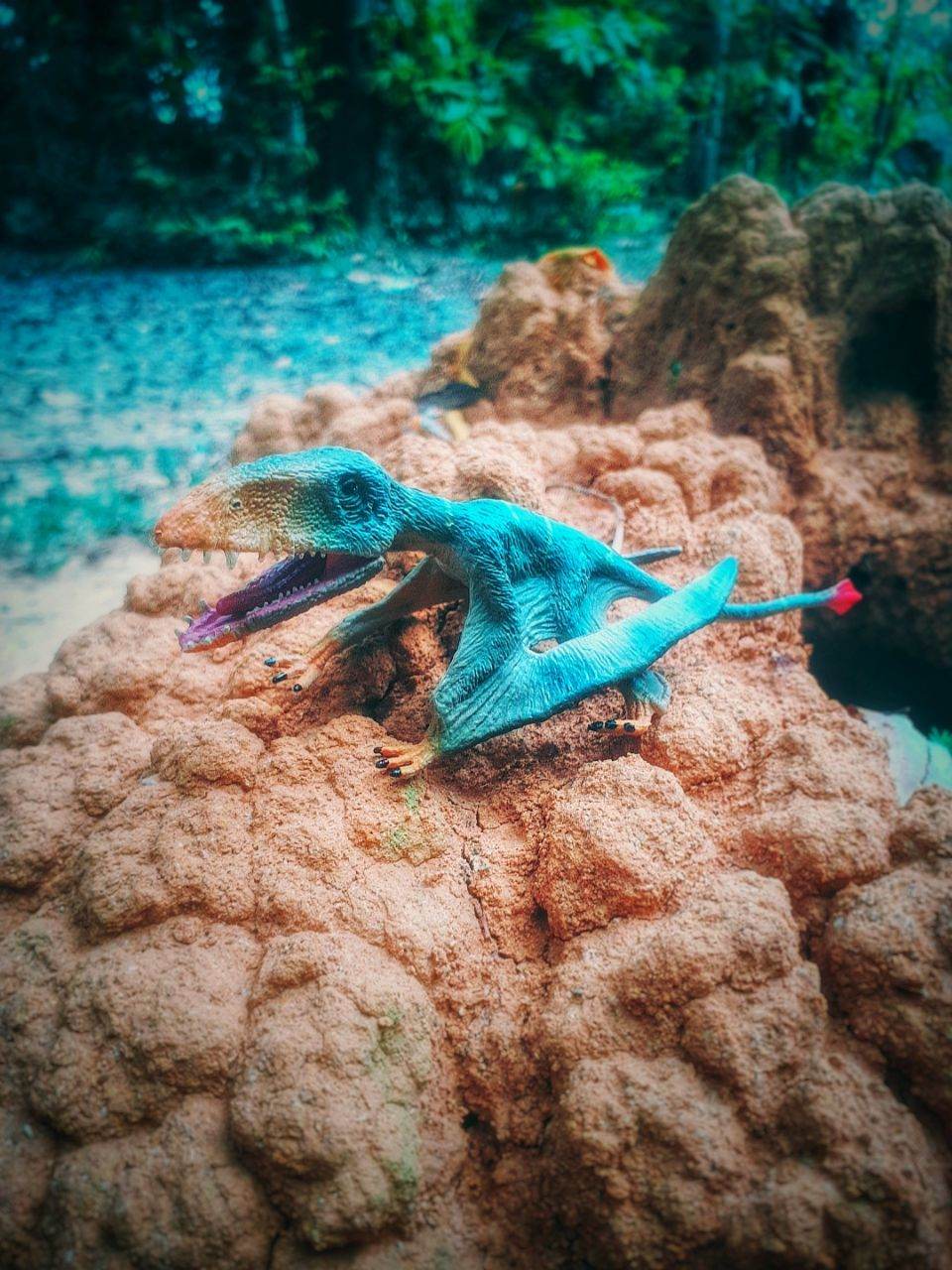 โมเดล ไดโมโพดอล modal Dimorphodon