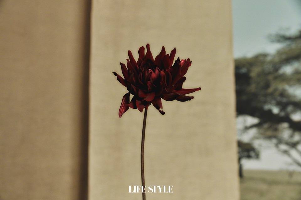 Cecilia Cheung @ LifeStyle China July 2021