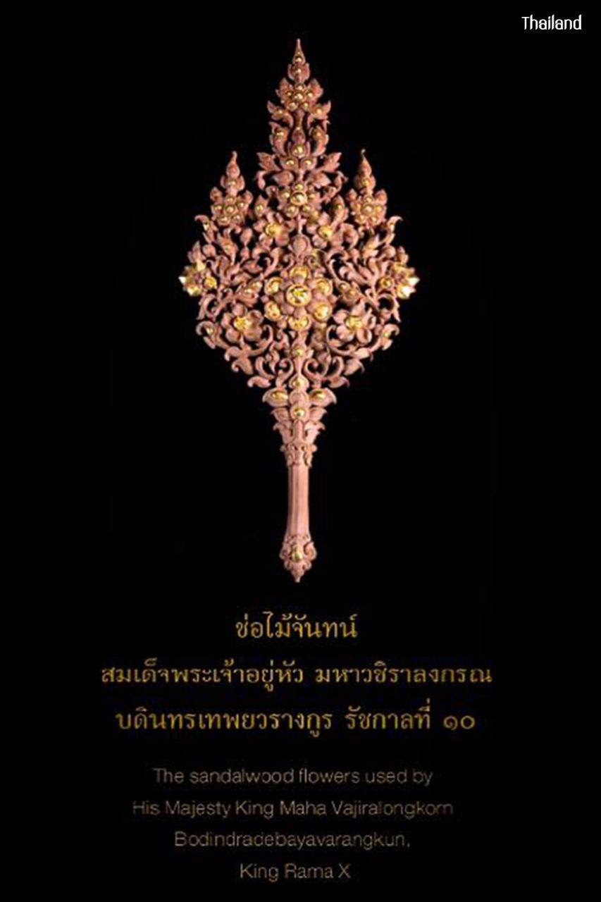 "ช่อไม้จันทน์" SANDALWOOD FLOWERS | THAILAND 🇹🇭