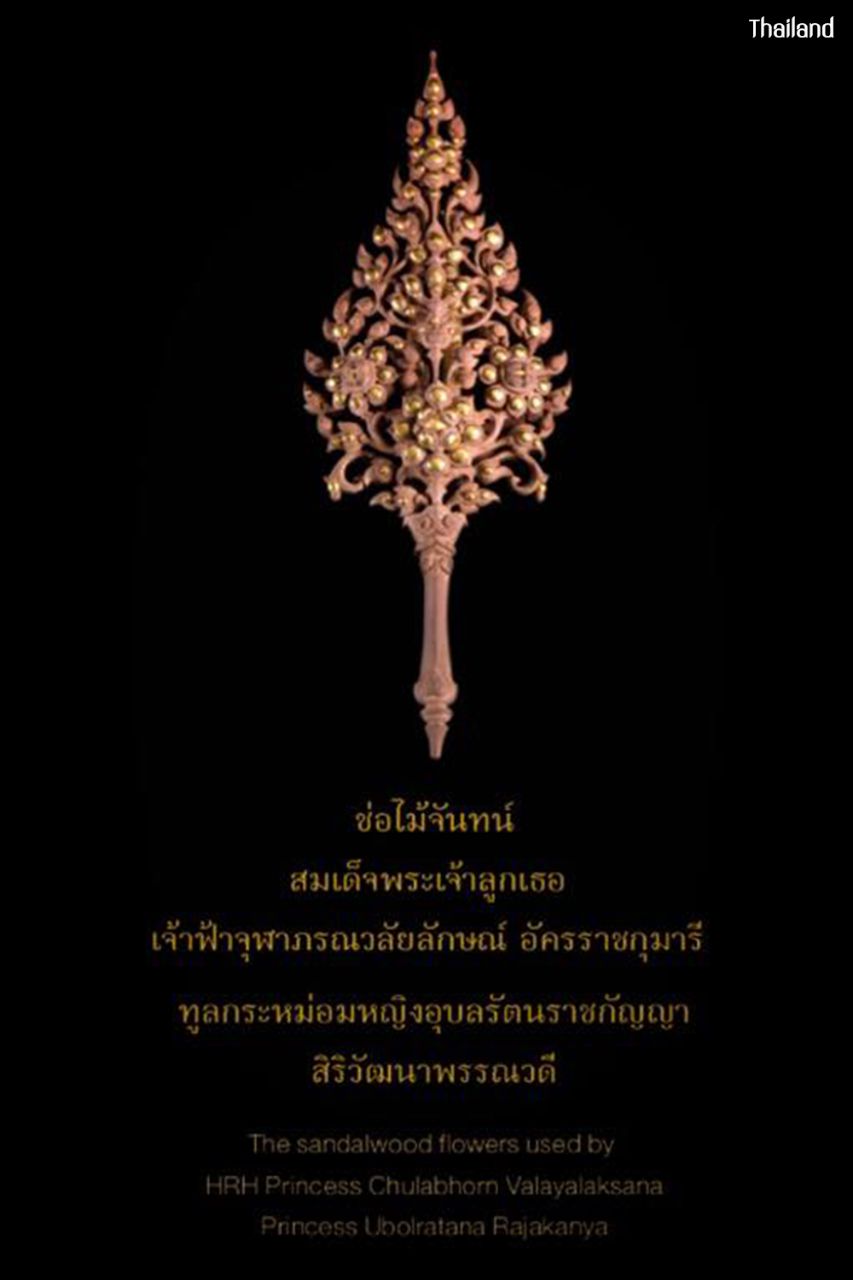 "ช่อไม้จันทน์" SANDALWOOD FLOWERS | THAILAND 🇹🇭