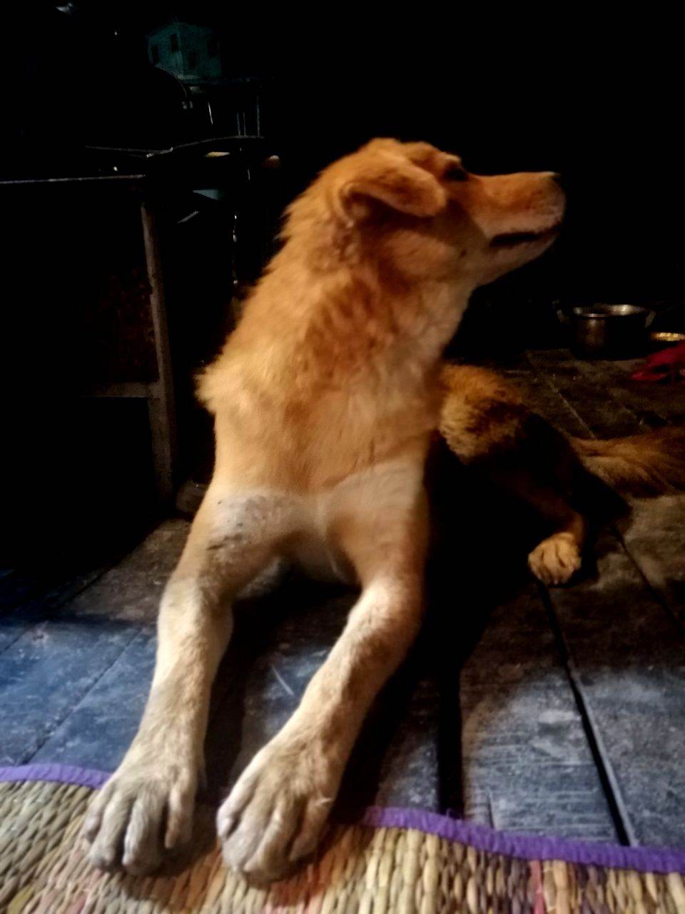 น้อง "เซเว่น" น่ารักอ่อ..🥰🥰