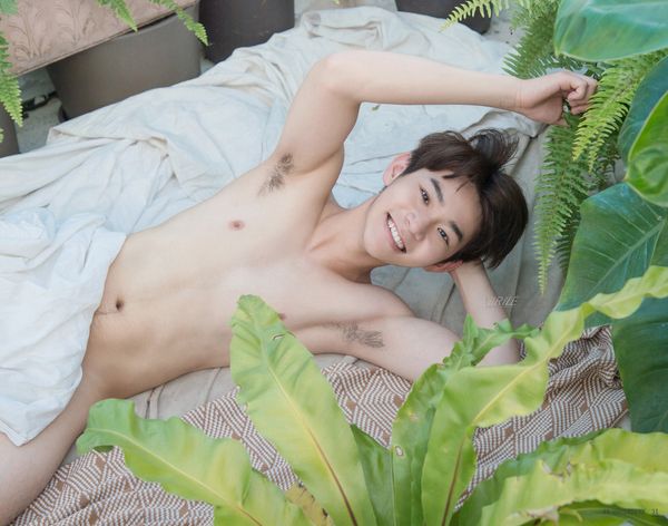 หิวโคย4
