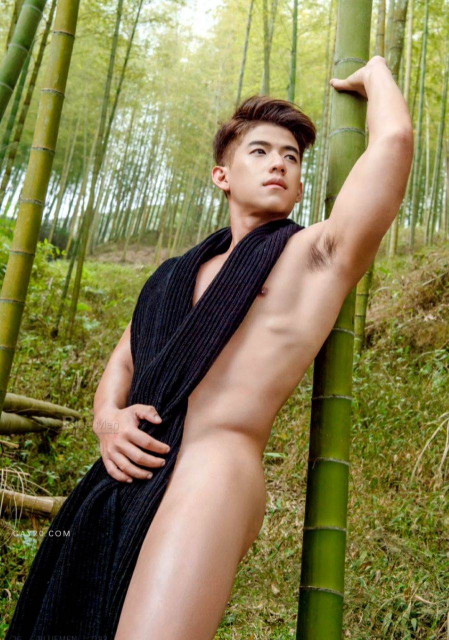 ผู้พงไพร