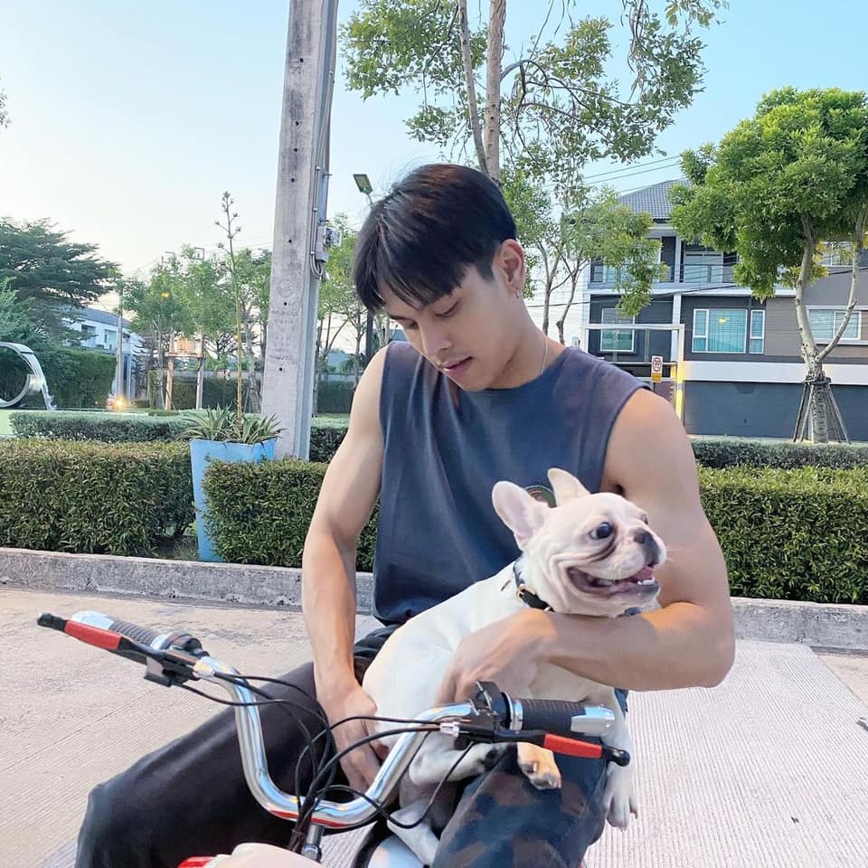 พลังงานผัว
