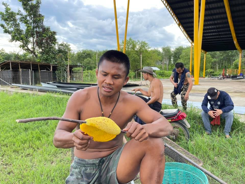 เหตุผลของคนอยาก