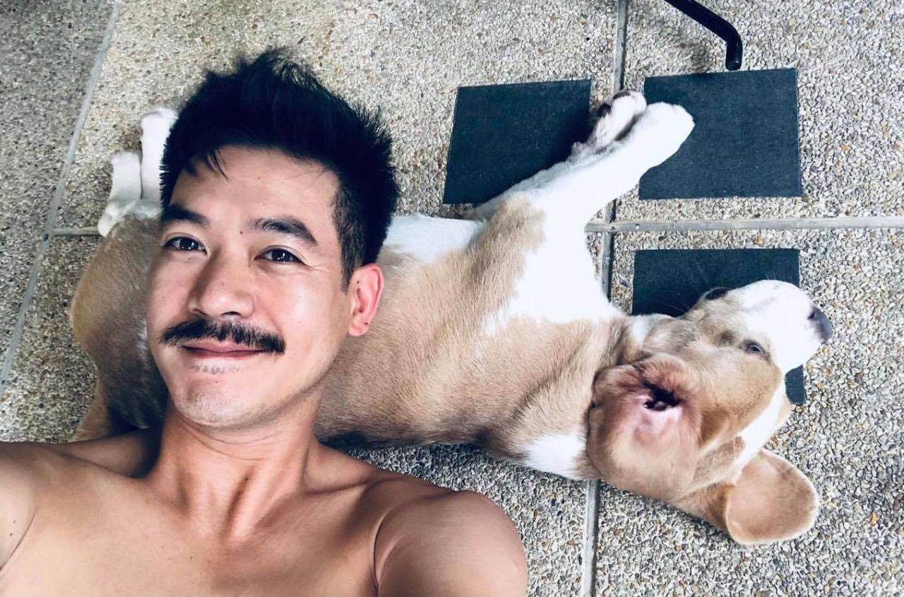ความเข้มของผัว
