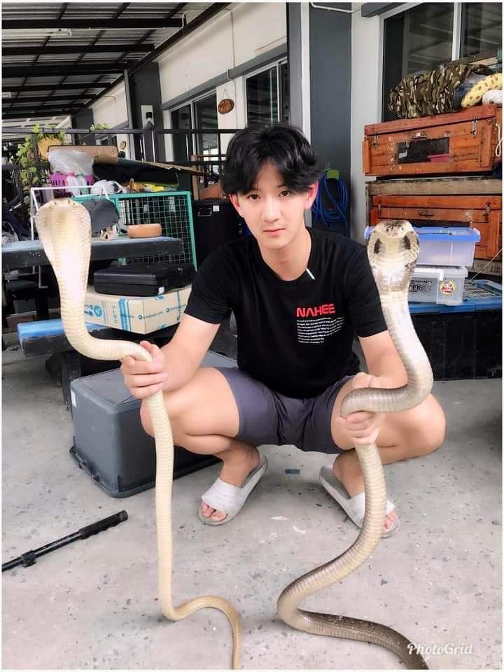 พี่จะเลียตั้งแต่หัวจรดเท้า31