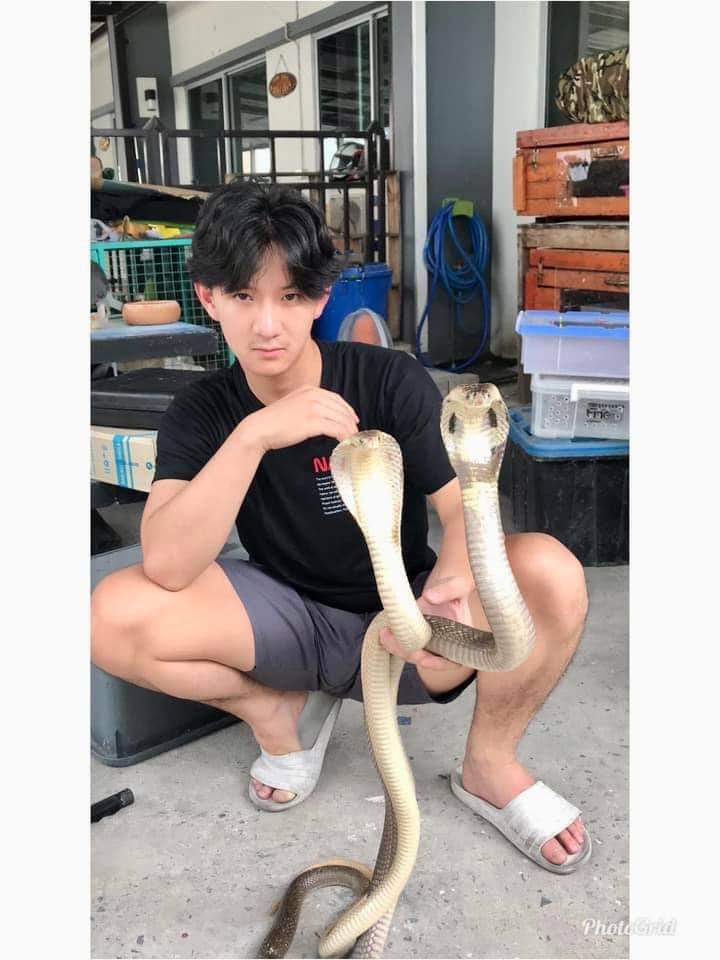 พี่จะเลียตั้งแต่หัวจรดเท้า31