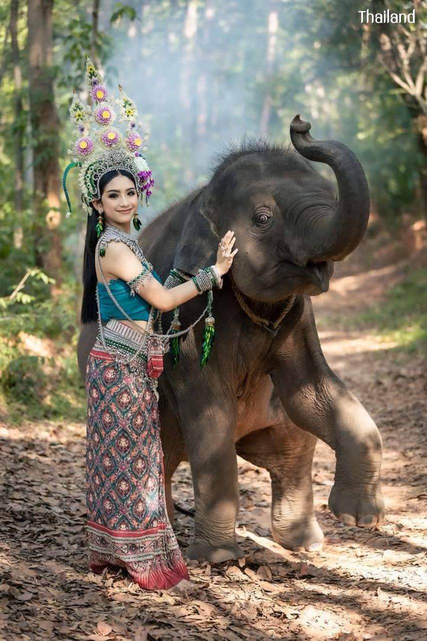 Thai Apsorn: Thai Apsara | THAILAND 🇹🇭