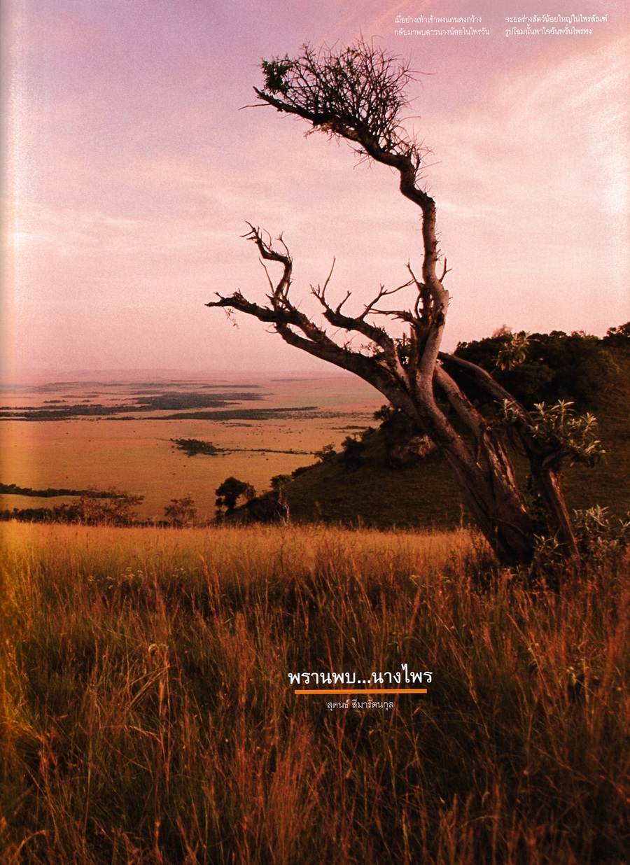 (วันวาน) VOLUME vol.2 no.45 March 2007