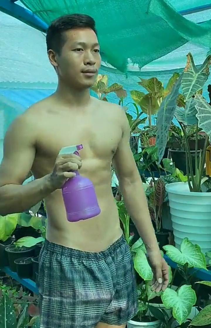 ดีต่อใจ#2336ผู้ชาย..ไม้ประดับ