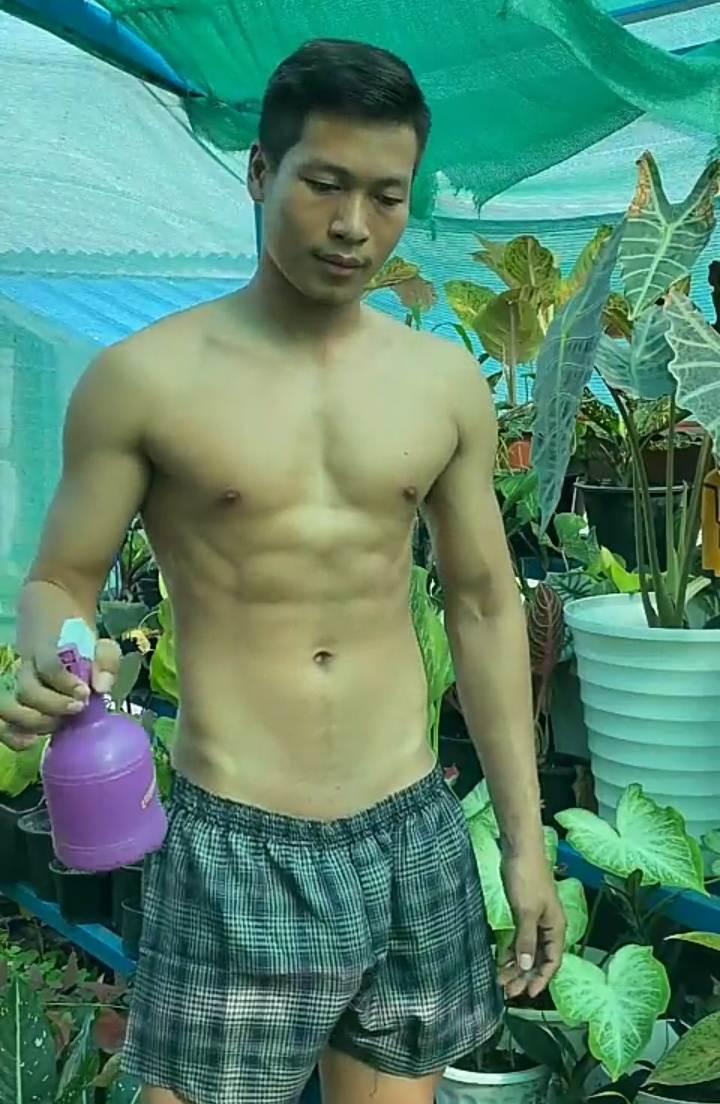 ดีต่อใจ#2336ผู้ชาย..ไม้ประดับ
